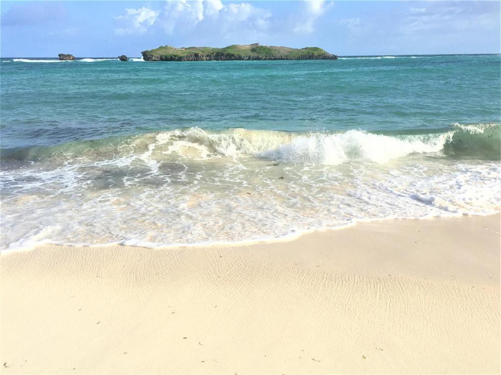 Watamu, Nestled Between Pristine Beaches And Lush Tropical Forest Otel Dış mekan fotoğraf